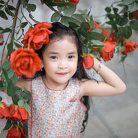 Bài tập Toán lớp 6: Tìm giá trị của một phân số