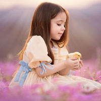 Đề thi học kì 2 môn Toán lớp 1 trường Tiểu học Vĩnh Hy năm học 2016 - 2017