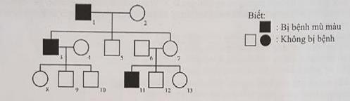Đề thi thử THPT quốc gia môn Sinh học