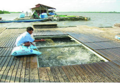 Đề thi học kì 2 môn Sử - Địa lớp 4