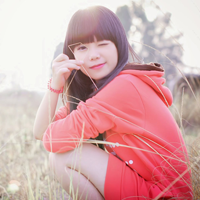 Đề thi thử vào lớp 10 môn Ngữ văn Phòng GD&ĐT Hàm Yên, Tuyên Quang năm học 2017 - 2018