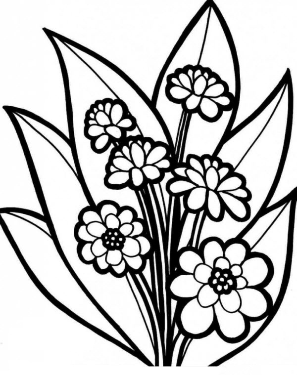 Tranh tô màu bông hoa dành cho bé học mẫu giáo
