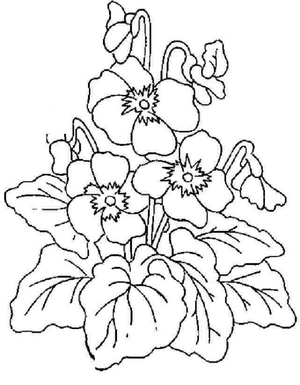 Tranh tô màu bông hoa dành cho bé học mẫu giáo