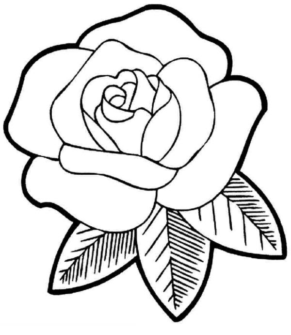 Tranh tô màu bông hoa dành cho bé học mẫu giáo