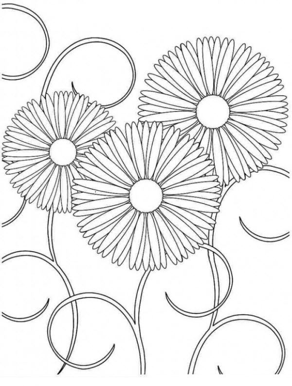 Tranh tô màu bông hoa dành cho bé học mẫu giáo
