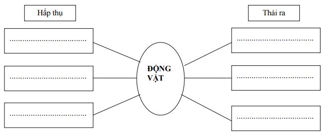 Đề thi học kì 2 môn Khoa học lớp 4