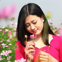 Đề thi học kì 2 môn Ngữ văn lớp 12 trường THPT Yên Dũng số 3, Bắc Giang năm học 2016 - 2017