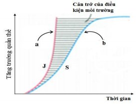 Đề thi học kì 2 môn Sinh học lớp 12