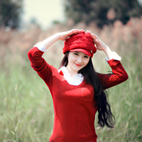 Đề thi thử THPT Quốc gia năm 2017 môn Ngữ văn trường THPT Trần Nguyên Hãn, Hải Phòng (Lần 2)