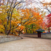 Bộ đề thi thử THPT Quốc gia năm 2017 môn Tiếng Anh CÓ ĐÁP ÁN - Số 15