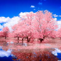 Bộ đề thi thử THPT Quốc gia năm 2017 môn Tiếng Anh CÓ ĐÁP ÁN - Số 17