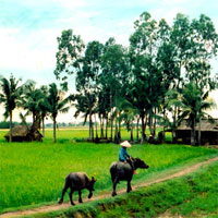 Giáo án mầm non đề tài: Cảnh đẹp quê em