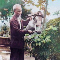 Giáo án chủ đề Quê hương, đất nước, Bác Hồ