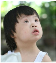 Đề thi thử THPT Quốc gia năm 2017 môn Sinh học