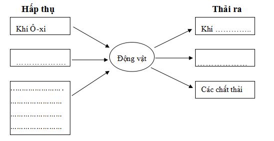 Đề thi học kì 2 môn Khoa học lớp 4