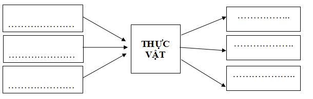 Đề thi học kì 2 môn Khoa học lớp 4