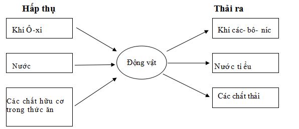 Đề thi học kì 2 môn Khoa học lớp 4