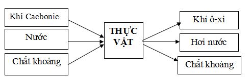 Đề thi học kì 2 môn Khoa học lớp 4