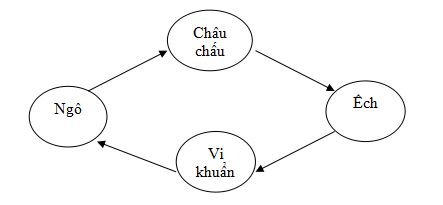 Đề thi học kì 2 môn Khoa học lớp 4