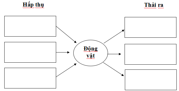 Đề thi học kì 2 môn Khoa học lớp 4