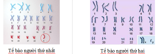 Đề thi thử THPT Quốc gia 2017 môn Sinh học