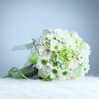 Đề thi học kì 2 môn Toán lớp 11 Sở GD&ĐT Bắc Ninh năm học 2016 - 2017