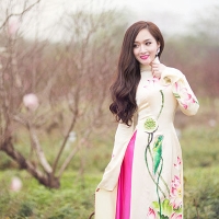 Đề thi học kì 2 môn Ngữ văn lớp 11 trường THPT Đa Phúc, Hà Nội năm học 2016 - 2017