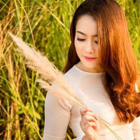 Đề thi thử THPT Quốc gia năm 2017 môn Tiếng Anh có đáp án - Đề 93