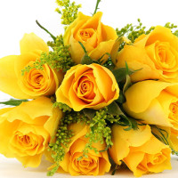 Giải bài tập SGK Tiếng Anh lớp 11 Chương trình mới Unit 1: GETTING STARTED, LANGUAGE, READING