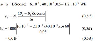 Đề thi học kì 2 môn Vật lý lớp 11 trường THPT Trần Hưng Đạo, TP Hồ Chí Minh năm học 2016 - 2017 Đề thi học kì 2 môn Vật lý lớp 11 có đáp án