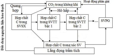 Đề thi thử THPT Quốc gia năm 2017 môn Sinh học