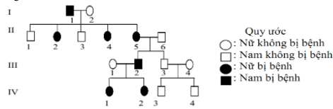 Đề thi thử THPT Quốc gia năm 2017 môn Sinh học