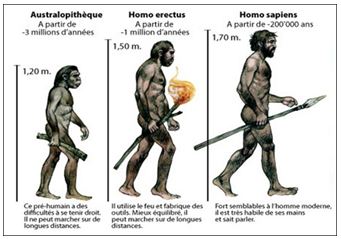 Lý thuyết Lịch sử 10 bài 1: Sự xuất hiện loài người và bầy người nguyên thuỷ