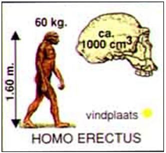 Lý thuyết Lịch sử 10 bài 1: Sự xuất hiện loài người và bầy người nguyên thuỷ