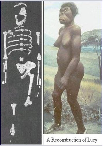 Lý thuyết Lịch sử 10 bài 1: Sự xuất hiện loài người và bầy người nguyên thuỷ