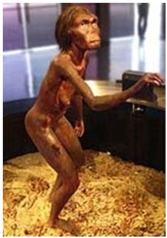 Lý thuyết Lịch sử 10 bài 1: Sự xuất hiện loài người và bầy người nguyên thuỷ