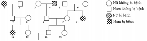 Đề thi minh họa môn Sinh học lần 3