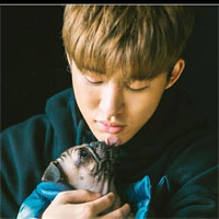 Câu hỏi trắc nghiệm Vật lý 8 bài 3