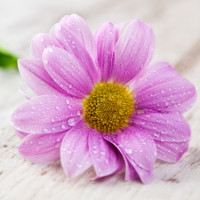 Đề thi thử vào lớp 10 môn tiếng Anh năm học 2017 - 2018 có đáp án - Đề 10