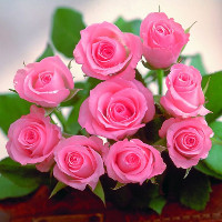 Đề thi thử vào lớp 10 môn tiếng Anh năm học 2017 - 2018 - Đề 8