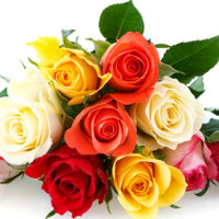 Đề thi thử vào lớp 10 môn tiếng Anh năm học 2017 - 2018 - Đề 9