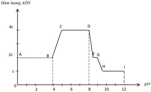 Đề thi thử vào lớp 10 môn Sinh học có đáp án