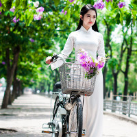 Bộ đề thi học kì 2 môn Tiếng Anh lớp 11 năm học 2016 - 2017 có đáp án (Số 1)