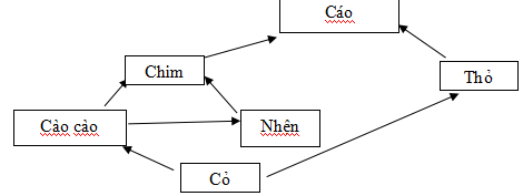 Đề thi thử THPT Quốc gia 2017 môn Sinh học
