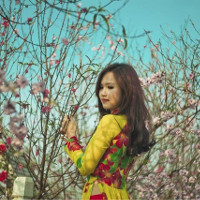 24 mã Đề thi thử THPT Quốc gia môn Tiếng Anh năm 2016 - 2017 Sở GD&ĐT Ninh Bình