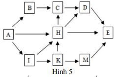 Đề thi thử THPT Quốc gia năm 2017 môn Sinh học