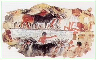 Lý thuyết Lịch sử 10 bài 3: Các quốc gia cổ đại phương Đông