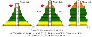 Câu hỏi trắc nghiệm môn sinh học lớp 9