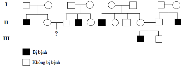 Đề thi thử THPT Quốc gia 2017 môn Sinh học