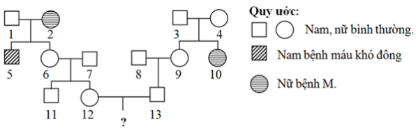 Đề thi thử THPT Quốc gia năm 2017 môn Sinh học